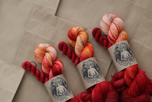 Load image into Gallery viewer, Fly Agaric Sock Set
