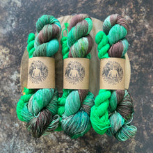 Load image into Gallery viewer, Mint Winter Chocolate - sock set
