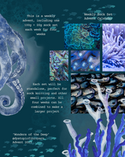 Load image into Gallery viewer, Wonders of the Deep Advent 2025