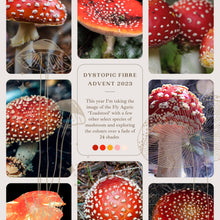 Load image into Gallery viewer, AGARIC ADVENT 2023

