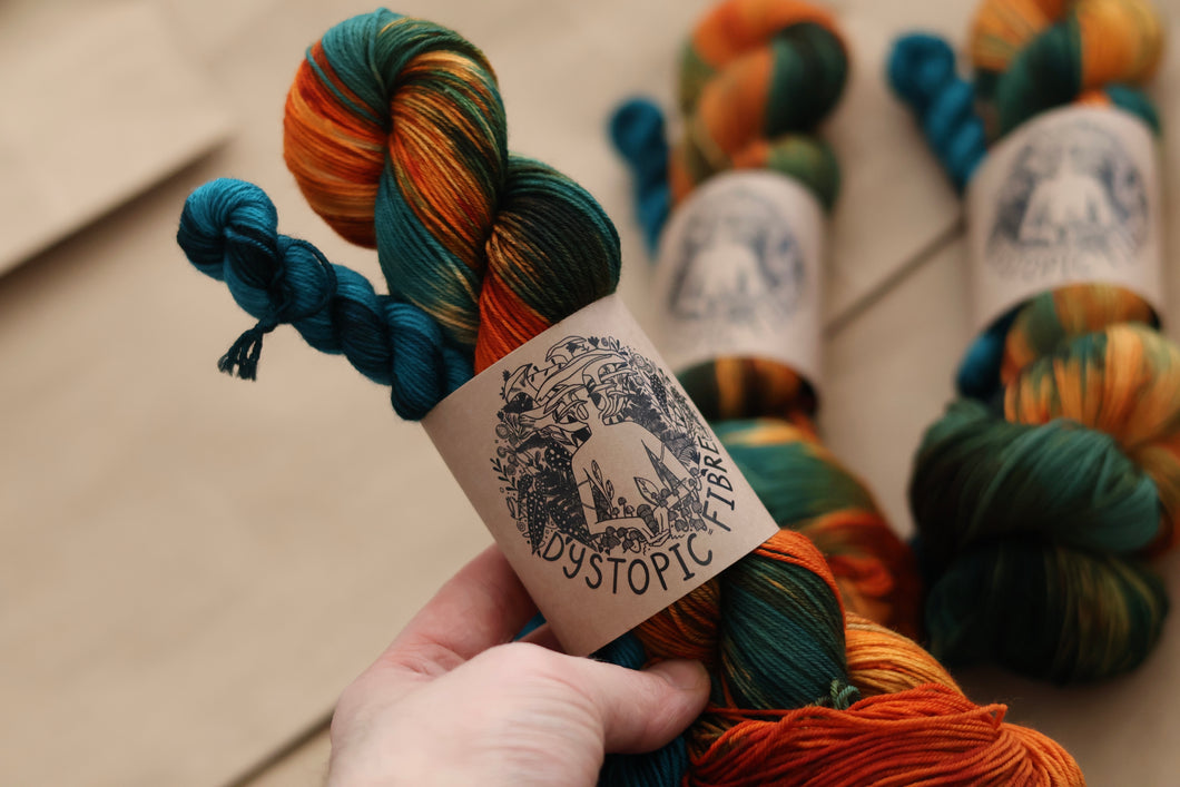Evening Light Sock Set